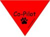 "Co-Pilot" Bandana